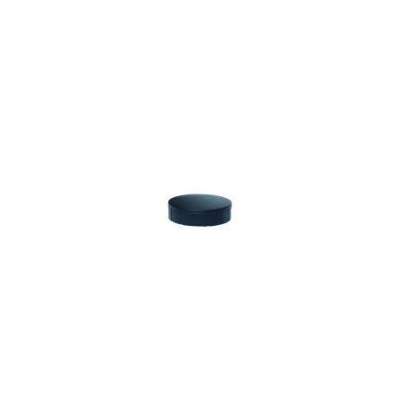 pak 10 magneten maul 24 mm zwart kracht 0.60 kg