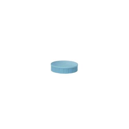 pak 10 magneten maul 32 mm grijs kracht 0.80 kg