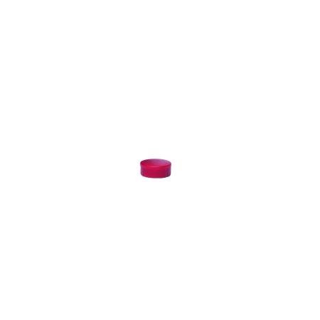 pak 10 magneten maul 15 mm rood kracht 0.15 kg