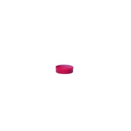 pak 10 magneten maul 20 mm rood kracht 0.30 kg