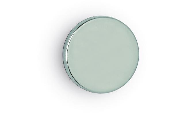 pk 10 neodymium magneten 20 mm kracht 4.2kg zilver