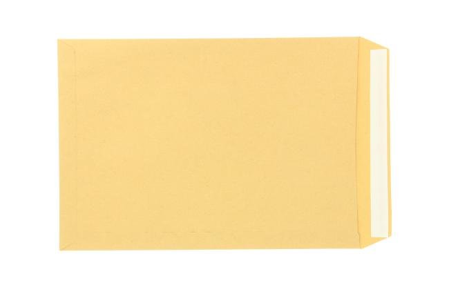 250 envelop 229 x 324 mm zv str bruin
