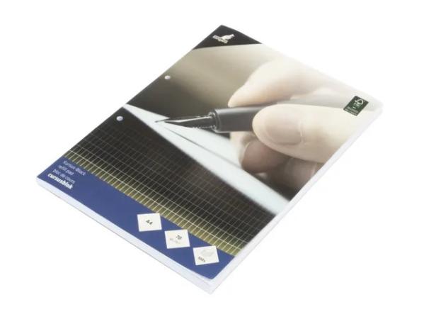 Cursusblok Kangaro A4 70 gr 2-gts comm geruit 100v