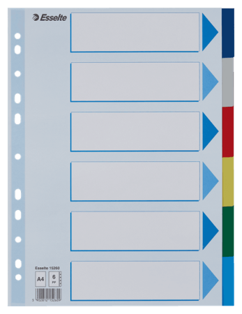 tabbladen A4 plastiek kleur 6 tabs esselte