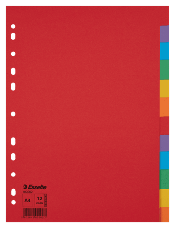 tabbladen A4 karton kleur economy 12 tabs esselte