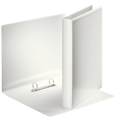 ringmap panorama A4 2 ringen rug 38 mm wit esselte