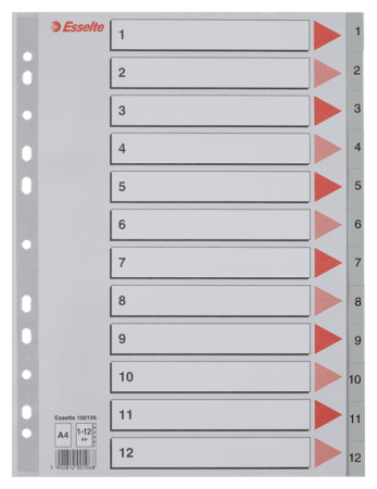 tabbladen A4 plastiek grijs 1-12 esselte