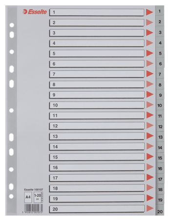 tabbladen A4 plastiek grijs 1-20 bedrukt esselte