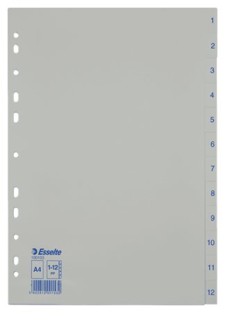 tabbladen A4 plastiek wit 1-12 bedrukt esselte