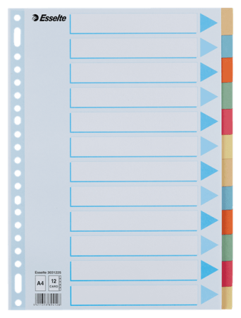 tabbladen A4 gekleurd karton 275 gr 12 tabs esselt