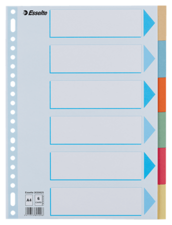 tabbladen A4 gekleurd karton 275 gr 6 tabs esselte