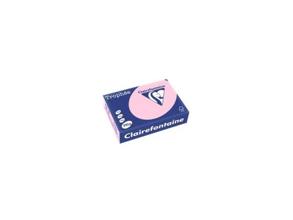 roze 210 gr 210 x 297mm clairefontaine 2225
