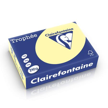 kanariegeel 210 gr 210 x 297mm clairefontaine 2220