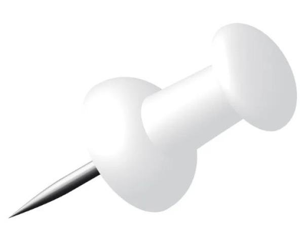 doos 40 push pins wit