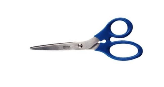 schaar esselte blauw 20 cm assym ogen rechtshandi