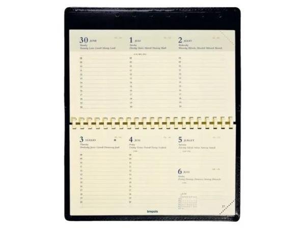 agenda vulling omniplan 90 x 160 mm 7d/2p