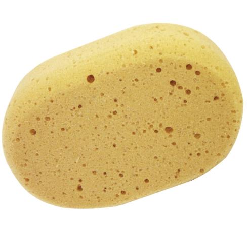 aqualine ovalen spons