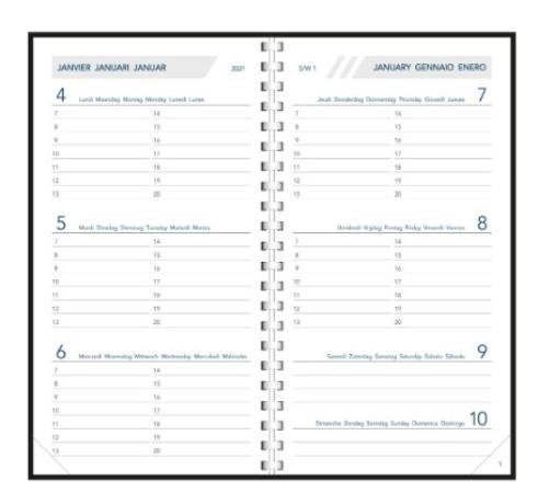 agenda visuplan spiraal alaska 90 x 165 mm 7d/2p