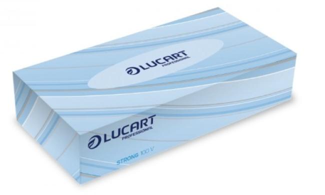 100 papieren zakdoekjes Lucart Strong 2-laags