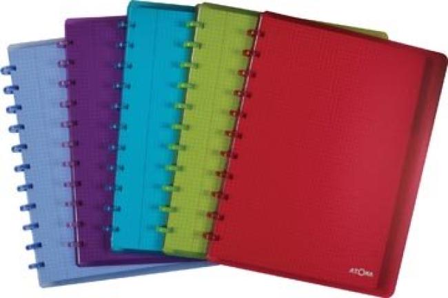 atoma schrift+ 6 tabs+5 showtas A4 geruit assorti