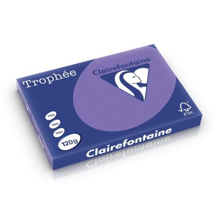 violet 297 x 420 mm 120 gr clairefontaine 1320