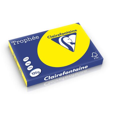 zonnegeel 297 x 420 mm 120 gr clairefontaine 1382