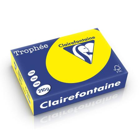 zonnegeel 210 x 297 mm 210 gr clairefontaine 2210