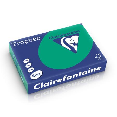 dennengroen 210 x 297 mm 80 gr clairefontaine 1783