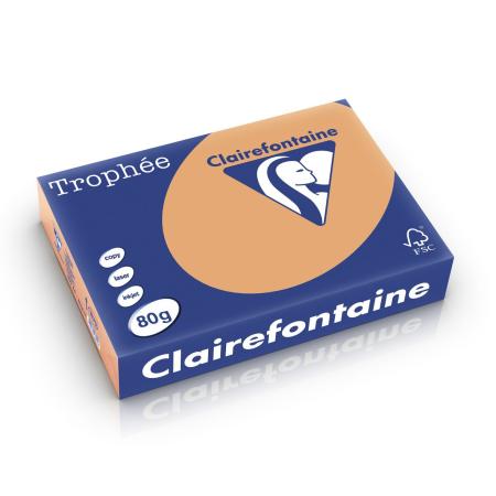 mokkabruin 210 x 297 mm 80 gr clairefontaine 1879