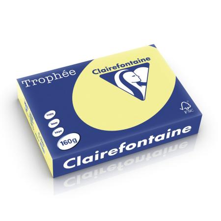 citroengeel 210 x 297 mm 160 gr clairef 1023