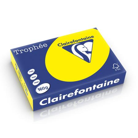 zonnegeel 210 x 297 mm 160 gr clairefontaine 1029