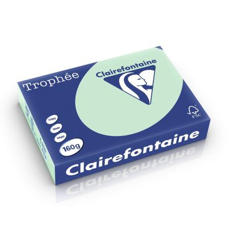 groen 210 x 297 mm 160 gr clairefontaine 2635