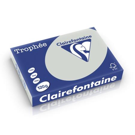 lichtgrijs 210 x 297 mm 120 gr clairefontaine 1273
