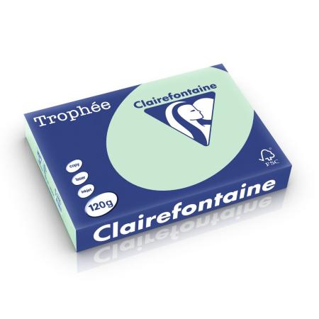 groen 210 x 297 mm 120 gr clairefontaine 1216