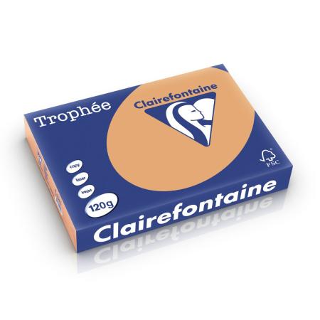 mokkabruin 210 x 297 mm 120 gr clairefontaine 1244