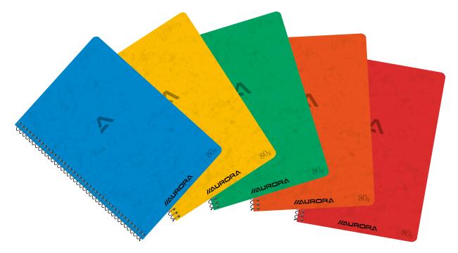 spiraalschrift 148 x 210 mm geruit 60 blad