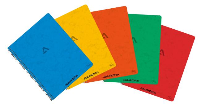 spiraalschrift 165 x 210 mm A5 geruit 60 blad