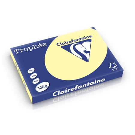 geel 297 x 420 mm 120 gr clairefontaine 1308