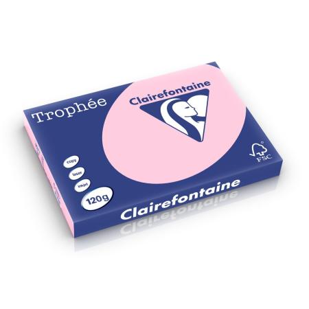roze 297 x 420 mm 120 gr clairefontaine 1310