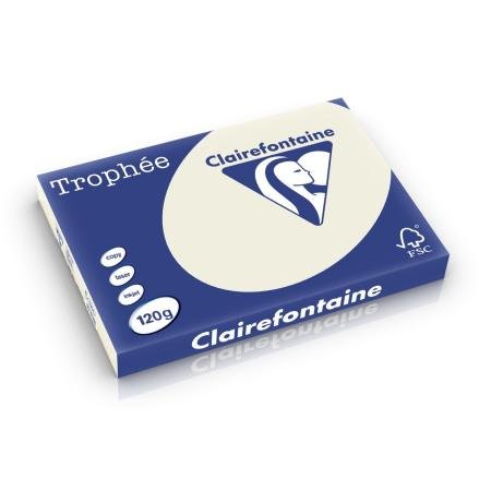 parelgrijs 297 x 420 mm 120 gr clairefontaine 1301
