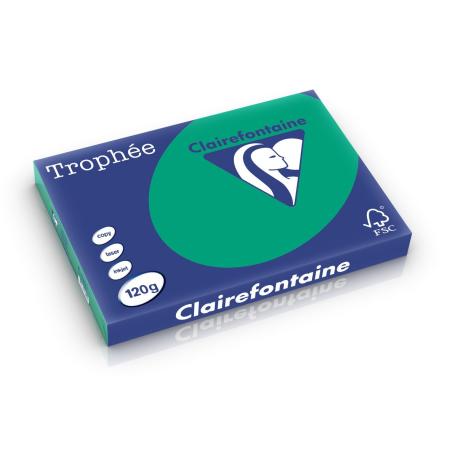 dennegroen 297 x 420 mm 120 gr clairefontaine 1384