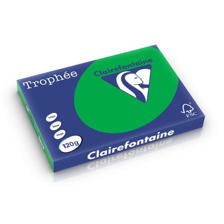 biljartgroen 297 x 420 mm 120 gr clairef 1272