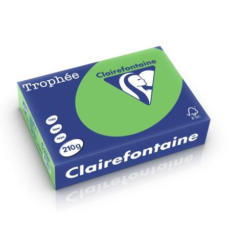 grasgroen 210 gr 210 x 297 mm clairefontaine 2208