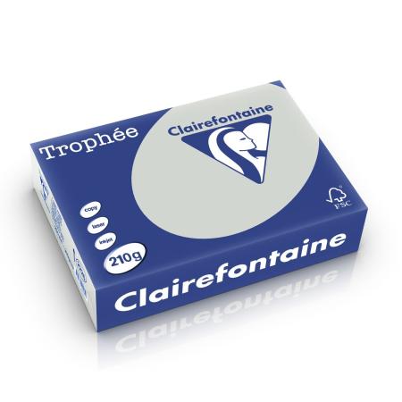 lichtgrijs 210 gr 210 x 297 mm clairefontaine 2226