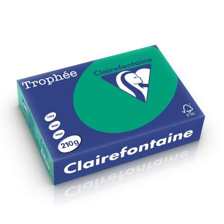 dennegroen 210 gr 210 x 297 mm