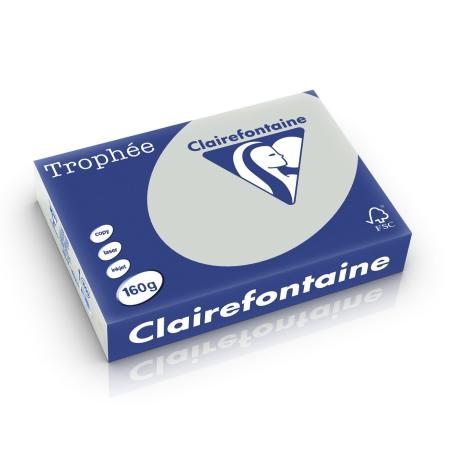 lichtgrijs 210 x 297 mm 160 gr clairefontaine 1009