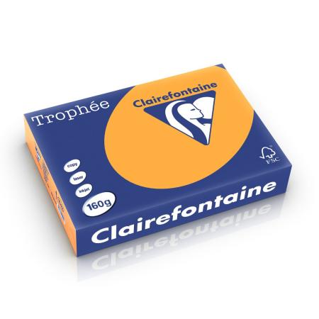 oranje 210 x 297 mm 160 gr clairefontaine 1042