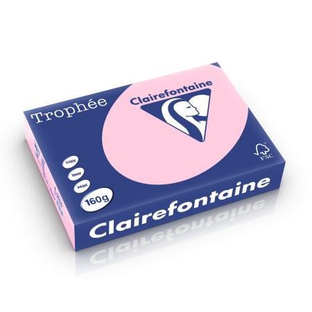 roze 210 x 297 mm 160 gr clairefontaine 2634