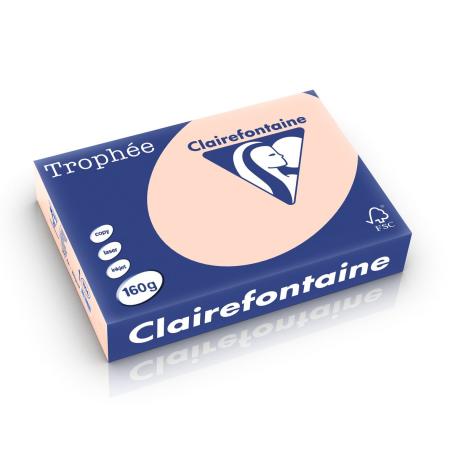 zalm 210 x 297 mm 160 gr clairefontaine 1104
