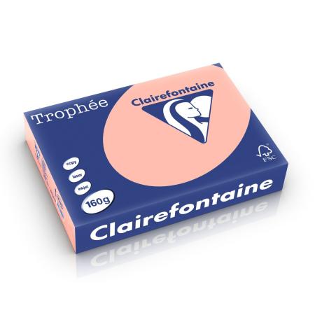 perzik 210 x 297 mm 160 gr clairefontaine 1049